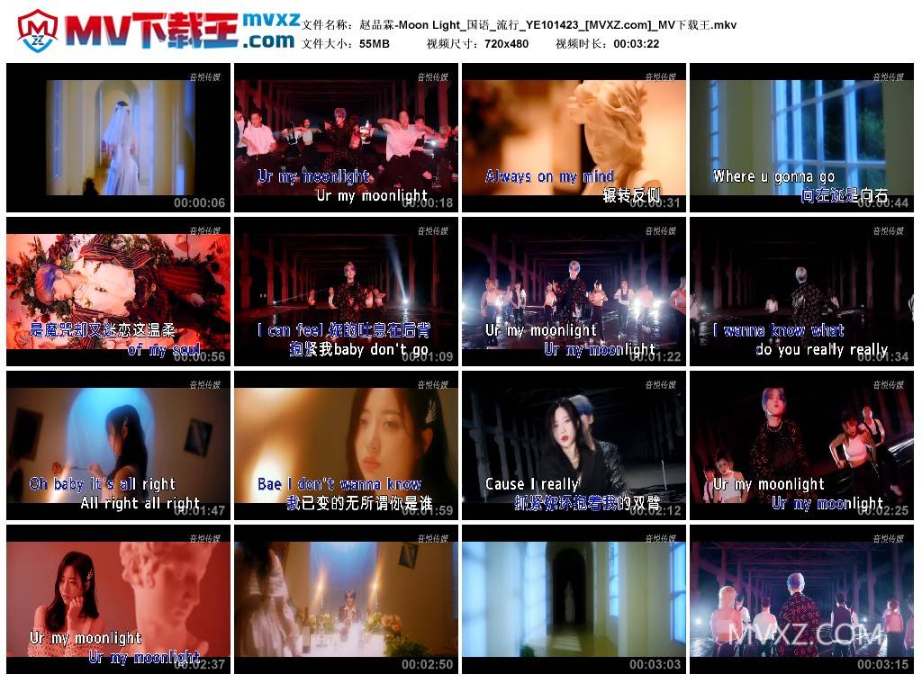 赵品霖-Moon Light_国语_流行_YE101423
